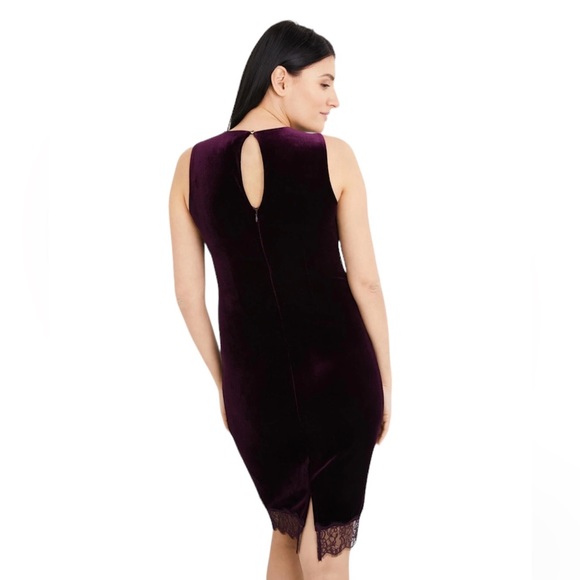 A Pea in the Pod Lace Trim Velvet Dress in Pretty Plum Size:M NWT - Picture 2 of 5